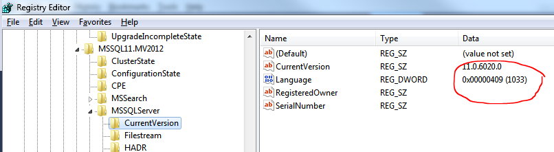 Language used by the SQL Server binaries - SQL Server Science